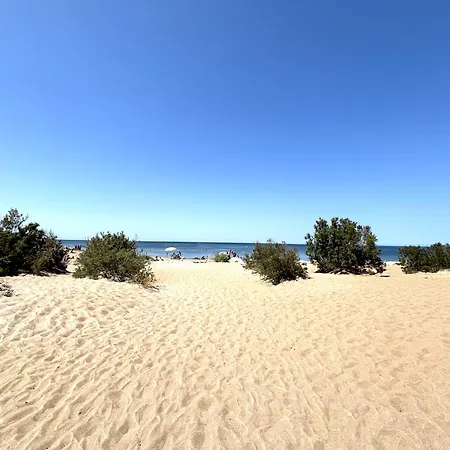 Apartamento En Dianium